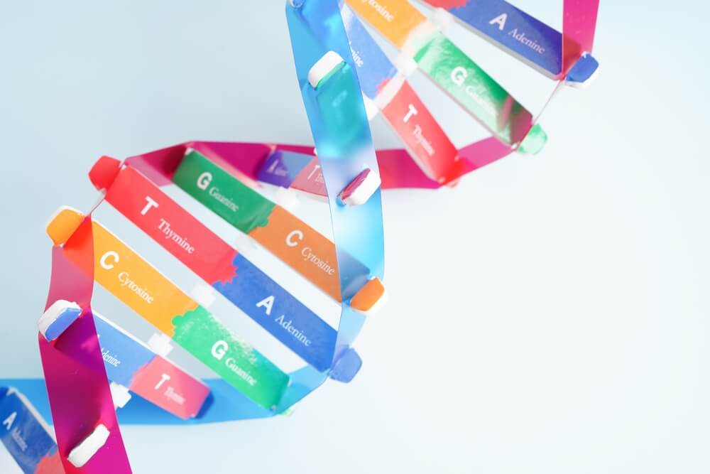 １６時間ダイエット　基礎知識　成功に欠かせない　ポイント